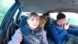 СВИНЬЯ В ПРИЦЕПЕ И УСТАНОВКА ОГРАДКИ: НЕОБЫЧНЫЙ ДЕНЬ НАШЕЙ СЕМЬИ.  Из города в деревню 818 серия.