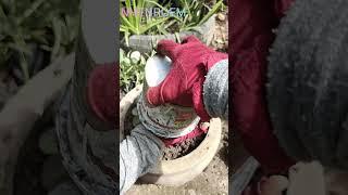 my plants  #gaming #farming #plants #naturelife #nature #vegetables #success #succulent #grow