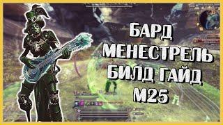 Бард Менестрель. Билд Гайд М25 | Neverwinter Online