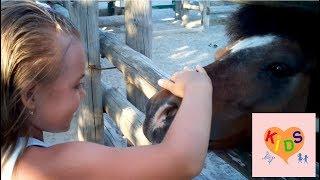 Алина в #Safari - самый лучший зоопарк в Украине. Город Бердянск. Много животных и птиц.