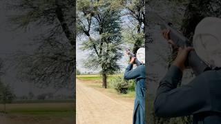 Springer Cometa Shot | aim your target