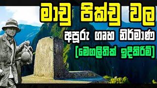 මාචු පික්චු වල ගෘහ නිර්මාණ ගැන කවුරුවත් නොකියන තොරතුරු | The Megalithic Architecture of Machu Picchu