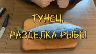  Тунец, разделка рыбы / Tuna, cutting fish / Тунець, обробка риби 