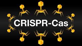 CRISPR-Cas: Иммунная Система бактерий и метод изменения генома (Анимация)