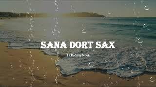 [THS&RyNoX] Sana Dort Sax - 1hr