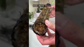 How to make your own Moss Pole? | DIY Moss Pole