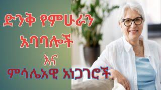 የምሁራን አባባሎች እና ምሳሌአዊ  አነጋገር ነፀብራቅ ቲዩብ netsebrak tube