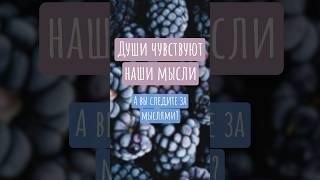 Души чувствуют наши истинные мысли | #целитель #энерготерапевт #душа #примирение #Shorts #Short