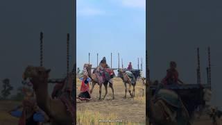 Malwa me life enjoy #malwa #youtubeshorts #shorts #mp #rajasthan #villagelife #life #culture #desi