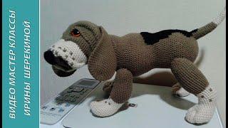 Собака Бигль, ч.2. Dog Beagle, р.2.  Amigurumi dog. Амигуруми собака.