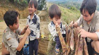 Two poor militia father and son go to harvest bamboo shoots to sell to buy new clothes for the boy