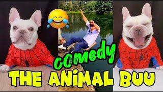 The Animal Buu Compilation | the most Fuuny collection235 #reaction #comedy