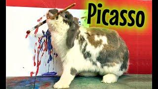 Picasso Rabbit paints a masterpiece (new)