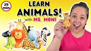 Learn Animals with Ms. Moni | Toddler Music | Teach Animal Songs For Toddlers | Kids Learning