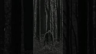 Hunted by the Skinwalker - Shady Tales #terrifyingtales #cryptids #wendigos #ai