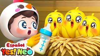 Los Pollitos Dicen  | Yes! Neo | Canciones Infantiles | BabyBus en Español