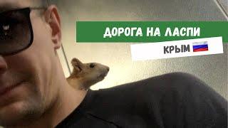 По дороге в Ласпи  #video