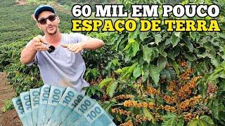 SERA QUE É POSSÍVEL VIVER DA RENDA DE 5 MIL PÉS DE CAFÉ 