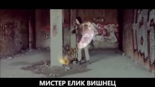 Мистер Елик Вишнец