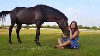 Cute Village girl Care Horse And Start Training Black Horse on Field -Basic horse care for beginners