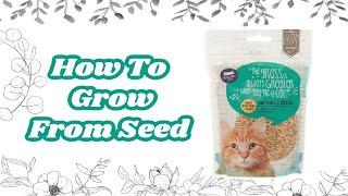 How To Grow From Seed / Whisker Kitty Cat Grass