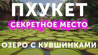 Озеро с лотосами на Пхукете. Ночной рынок на Кароне. Большой обзор уличной еды.