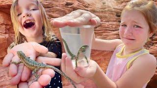 Niko & Adley catch a PET LiZARD!! Exploring for animals with Dad! baby bunnies, ants, and dino bones