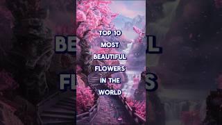 #Top10 #most #beautiful #flowers #viralshorts #status #video #mkp #Mkp_456