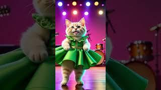 #comel #cat #dubidubidu #cute #cutecat #catshorts #funny #kitten #kitty #pets
