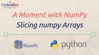 Slicing NumPy Arrays : A Moment with NumPy