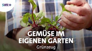 Gesundes Gemüse - saftig und lecker | SWR Grünzeug