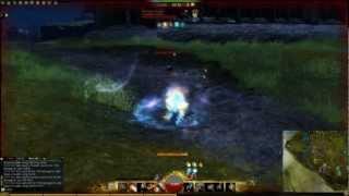 GW2 WvW Warrior Solo