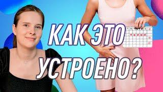 О месячных за 3 мин