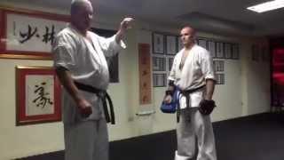 Shorin Kempo honbu Sifu Robert McInnes kicking demponstration.MOV