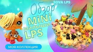 LPS / Обзор моей коллекции/ мини лпс малыши/ SOVA LPS