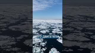 Спасатели получили арктические вертолёты Ми-8