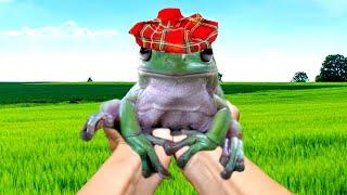 frogge has one week left