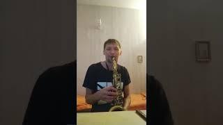 Hotel California(sax)