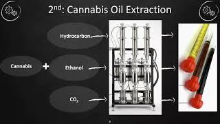 TU-J3 CO2 Extraction - In The Weeds (CUPA 2019)