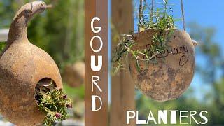 DIY Birdhouse Gourds for Your Garden