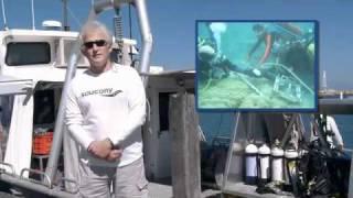 Australie Mag - The UWA Oceans Institute