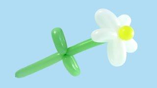 РОМАШКА ИЗ ДЛИННЫХ ШАРИКОВ ШДМ How to Make a Balloon Daisy