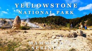 [4K] YELLOWSTONE National Park - Grand Loop Mammoth Springs Relaxing Scenic Driving Tour Part 3 of 5