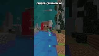  #cristalix #minecraft #customstevechaos