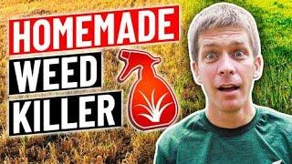 How to make homemade weed killer...vinegar, dish soap, salt