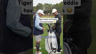 Freddie’s bag SHOCKS Tiger 