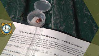 Mandatory CWD Testing