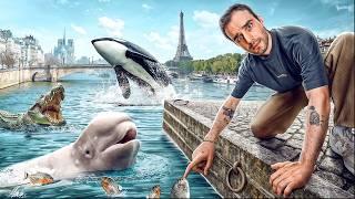 Les pires animaux retrouvés dans la Seine !