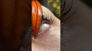 The end of a lash lift...