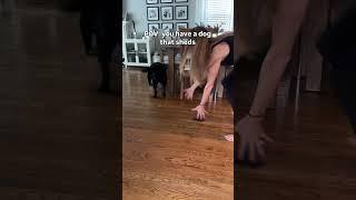 POV you have a dog that sheds #dogs #shedding #labrador #blacklab #cutedogs #funnydogs
